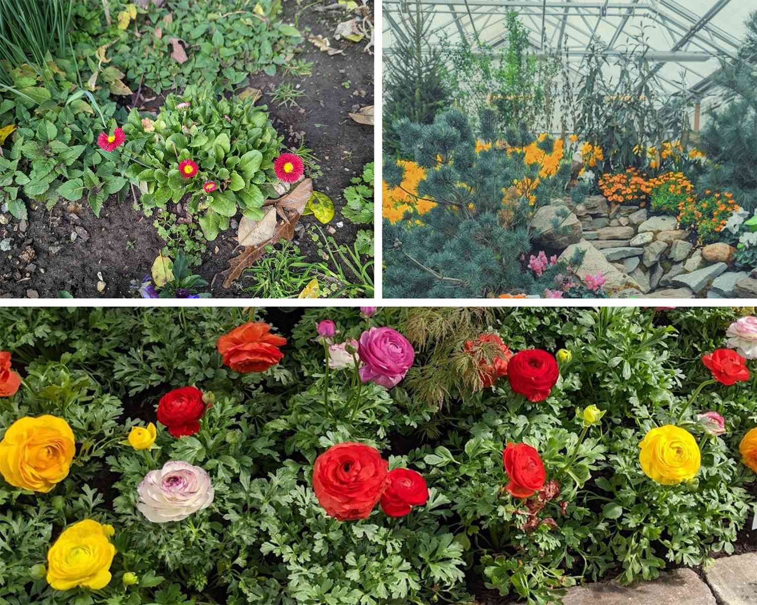 Example of bad garden images.