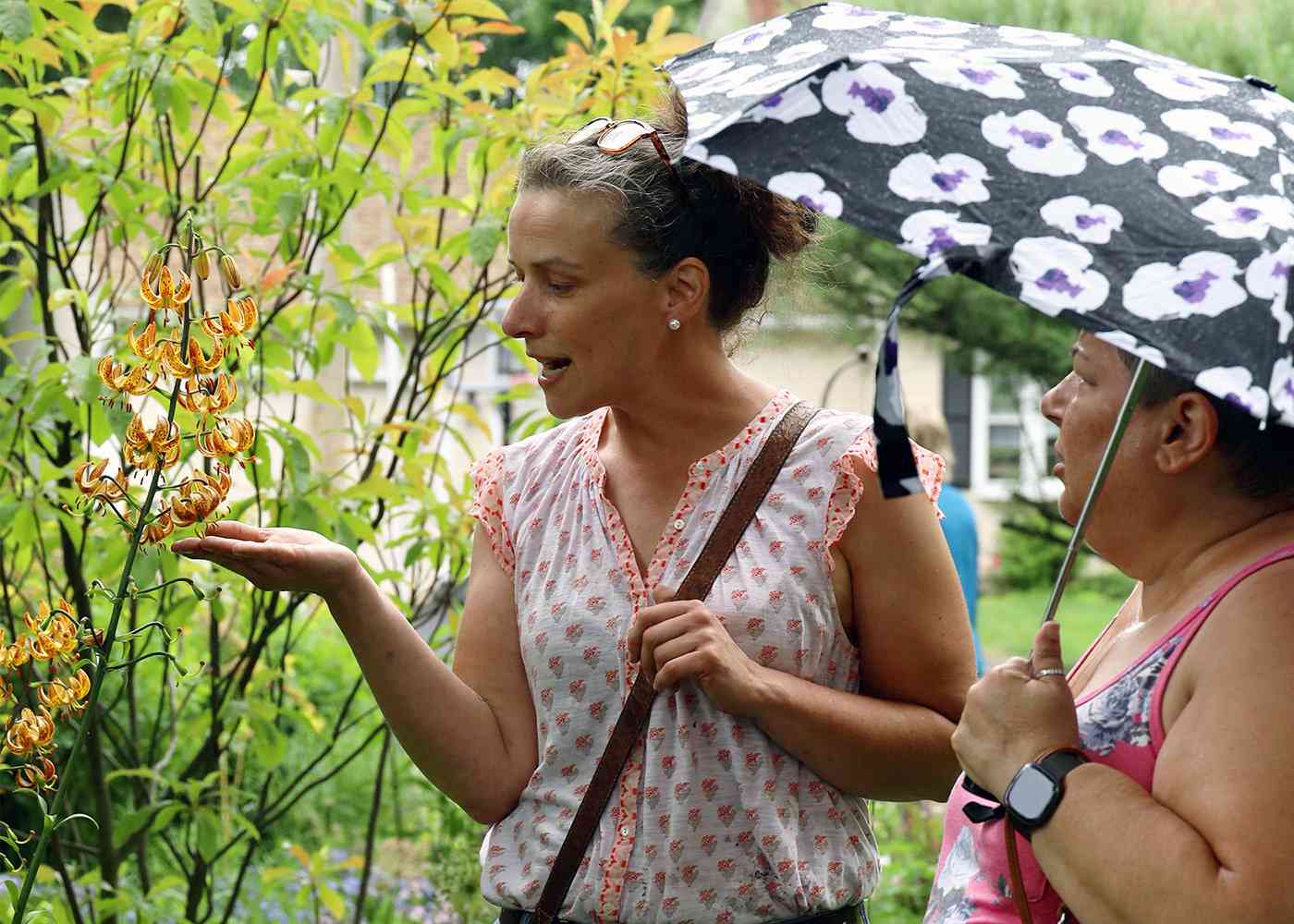 Open Day participants on a garden tour.