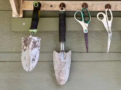 Anne Spencer's garden.