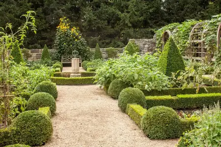 Anne Spencer's garden.