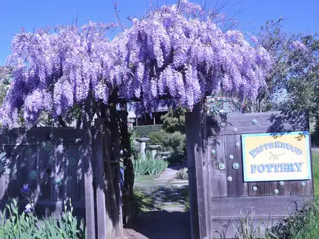 Saturday, June 14 Open Day at Pepperwood Pottery