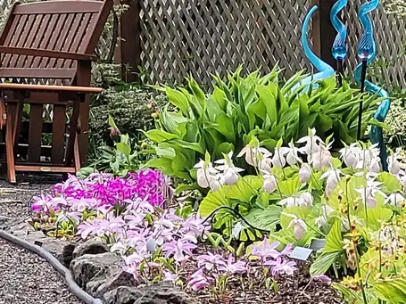 Saturday, June 14 Open Day at Dragon's Lair - The Demianew Gardens