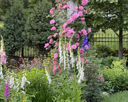 Saturday, June 14 Open Day at Jardin de Cadeaux