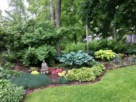 Saturday, June 14 Open Day at Susie and Paul's Gardens