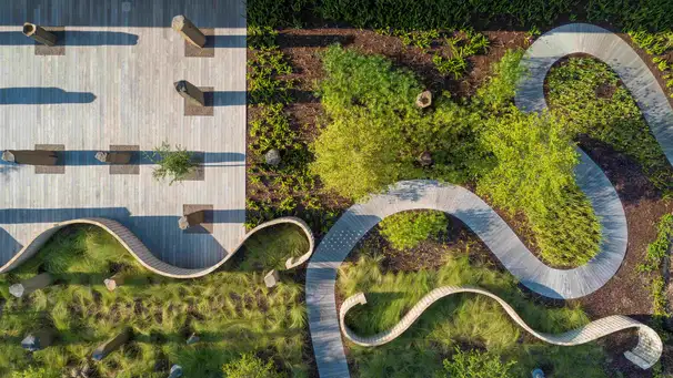 The African Ancestors Garden with Walter Hood