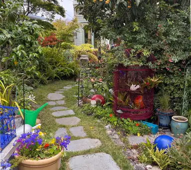 Saturday, September 6 Open Day at Josie's Palomino Garden