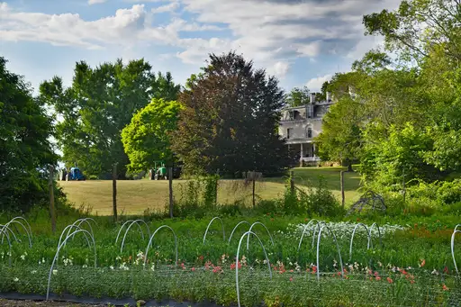 Back to the Land, a New Way of Life in the Country