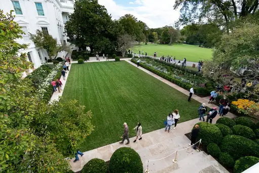 The White House Rose Garden: Renovation of an Iconic Space