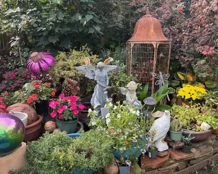 Saturday, June 6 Open Day at Oasis of Birds and Blooms