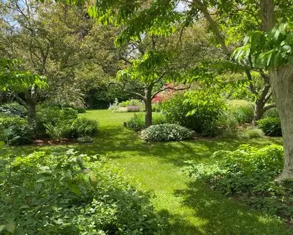 Saturday, June 6 Open Day at Garden of Helen Bodian