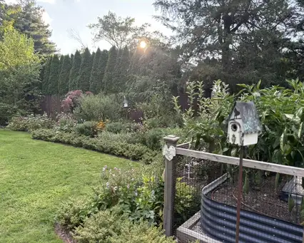 Saturday, June 6 Open Day at Mai's Garden