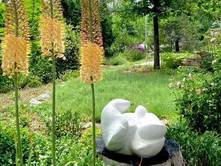 Saturday, June 20 Open Day at Old Town Semi-Secret Garden