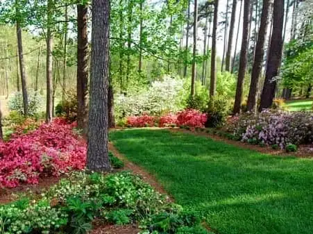 Saturday, April 18 Open Day at Forty Oaks Farm