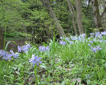 Saturday, June 6 Open Day at The Farm