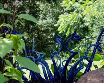 Saturday, July 25 Open Day at An Unexpected Oasis in Brookfield