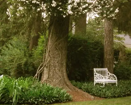 Saturday, June 6 Open Day at Steepway Farm