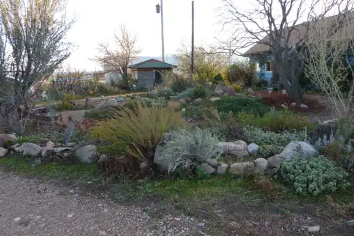 Saturday, June 20  Digging Deeper: Natives and Pollinators for a Dry Western Garden