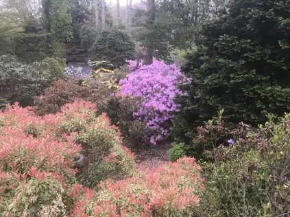 Saturday, May 10th Open Day at Biercuk & Luckey Garden