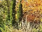 The Garden Conservancy Preservation Partner Garden