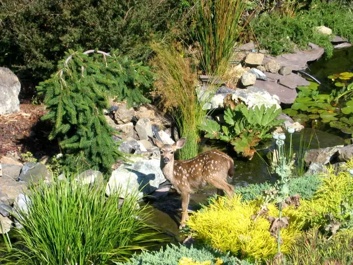 The Garden Conservancy Preservation Partner Garden