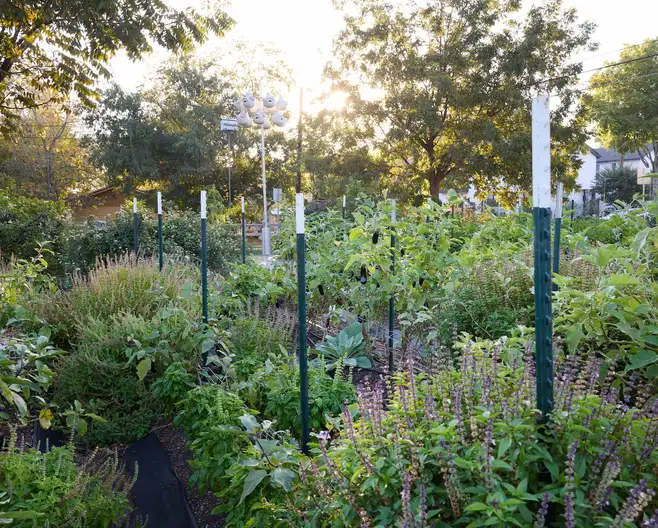 The Garden Conservancy Preservation Partner Garden