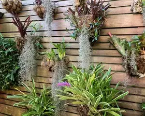 The Garden Conservancy Preservation Partner Garden