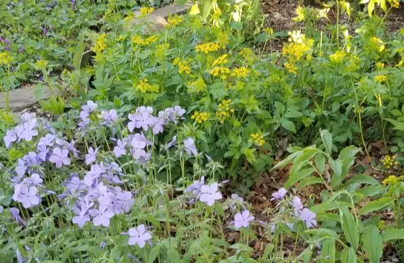 The Garden Conservancy Preservation Partner Garden