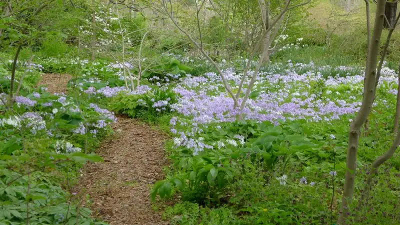 The Garden Conservancy Preservation Partner Garden