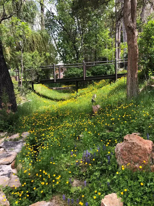 The Garden Conservancy Preservation Partner Garden