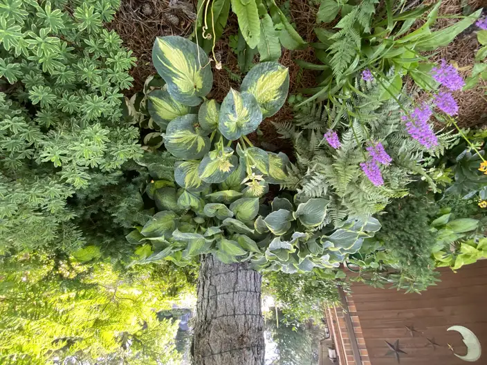 The Garden Conservancy Preservation Partner Garden