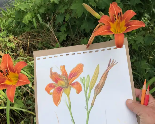 The Garden Conservancy Preservation Partner Garden