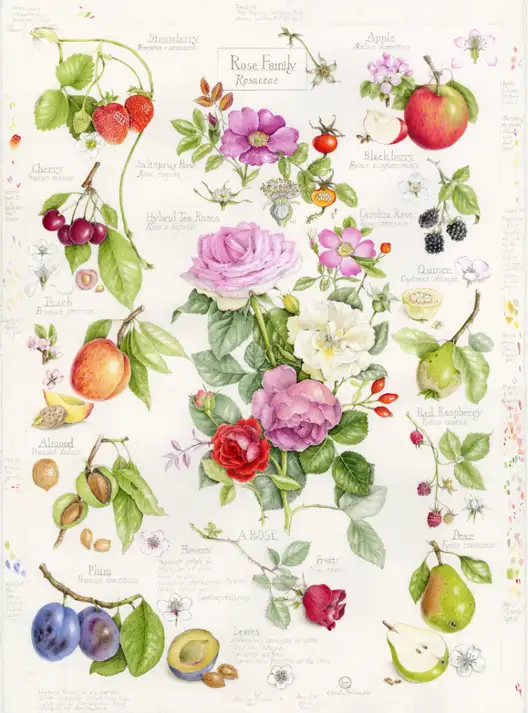 The Garden Conservancy Preservation Partner Garden