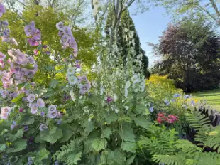 The Garden Conservancy Preservation Partner Garden