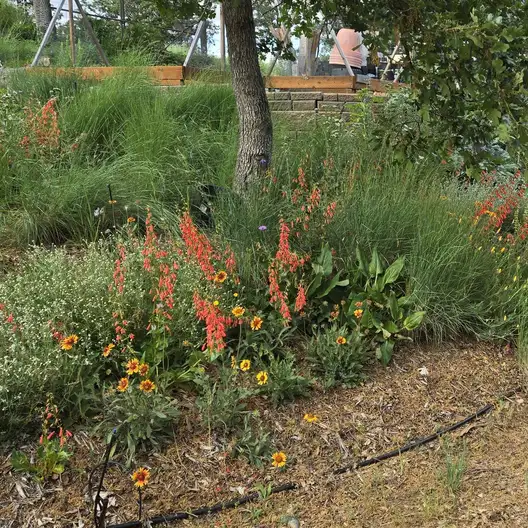 The Garden Conservancy Preservation Partner Garden