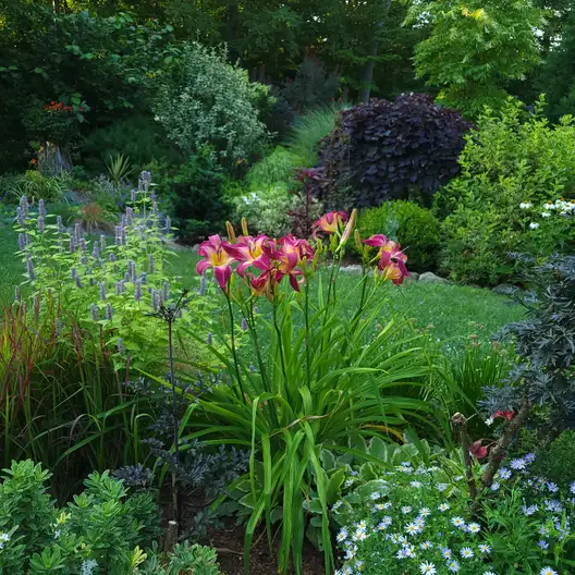 The Garden Conservancy Preservation Partner Garden