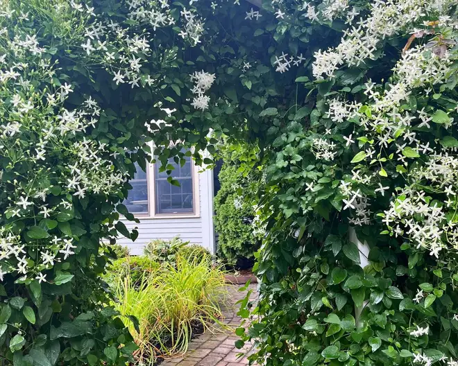 The Garden Conservancy Preservation Partner Garden