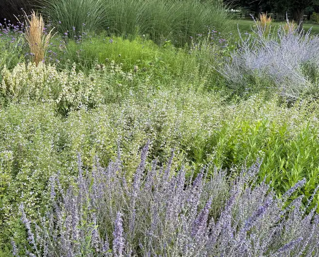 The Garden Conservancy Preservation Partner Garden