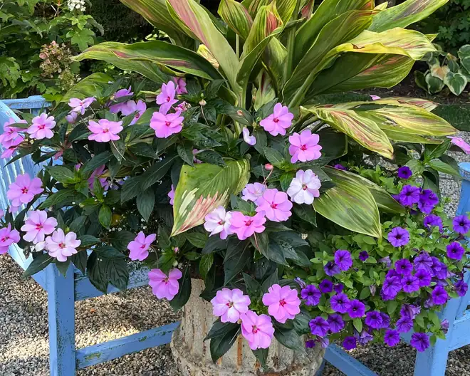 The Garden Conservancy Preservation Partner Garden