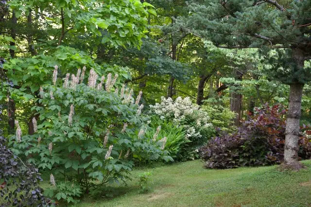 The Garden Conservancy Preservation Partner Garden