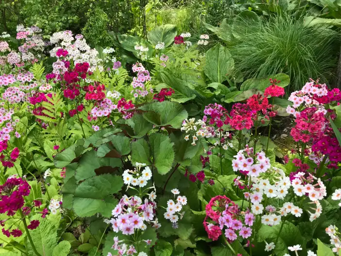 The Garden Conservancy Preservation Partner Garden