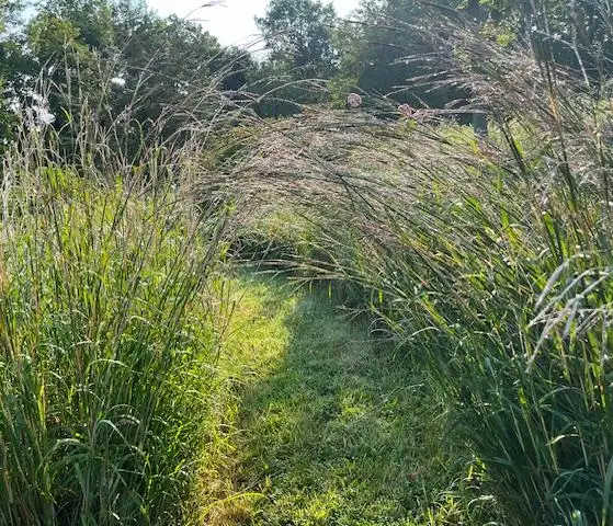 The Garden Conservancy Preservation Partner Garden