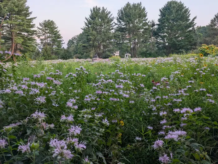 The Garden Conservancy Preservation Partner Garden