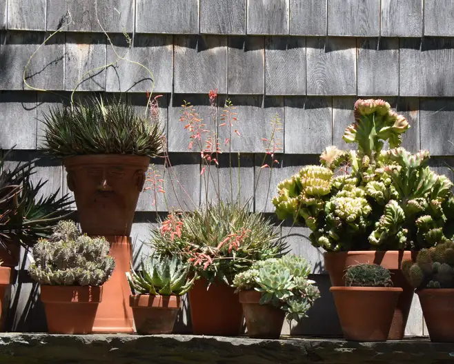 The Garden Conservancy Preservation Partner Garden