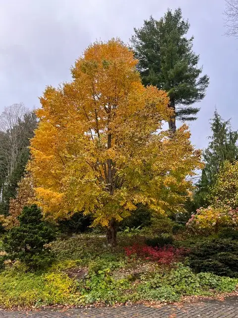 The Garden Conservancy Preservation Partner Garden