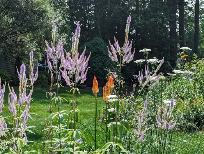 The Garden Conservancy Preservation Partner Garden