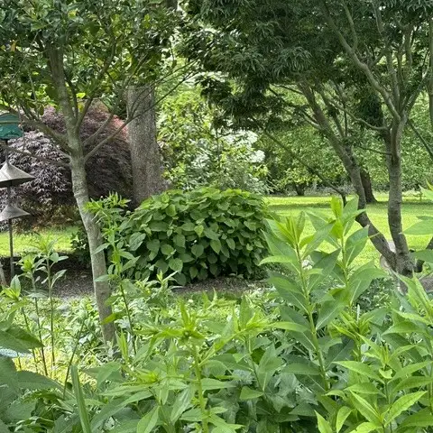 The Garden Conservancy Preservation Partner Garden