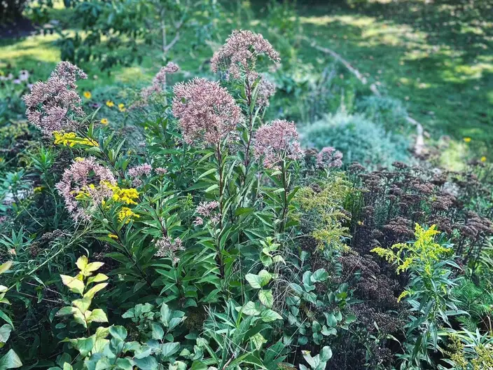 The Garden Conservancy Preservation Partner Garden