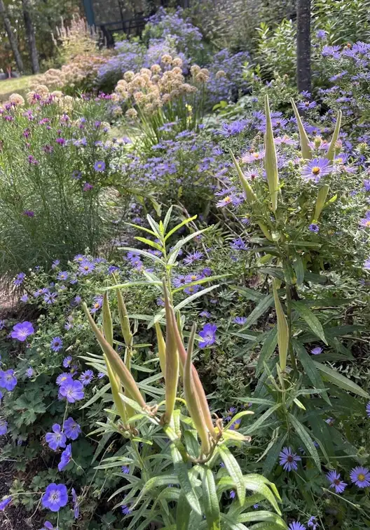 The Garden Conservancy Preservation Partner Garden
