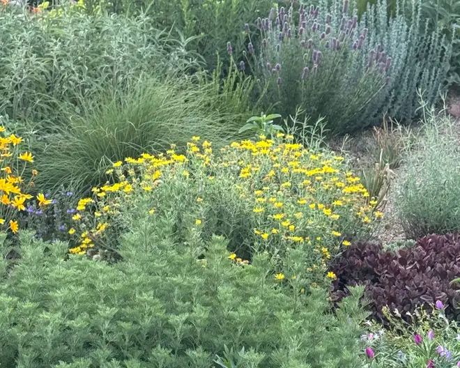 The Garden Conservancy Preservation Partner Garden