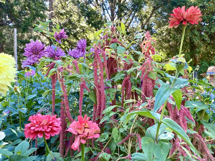 The Garden Conservancy Preservation Partner Garden